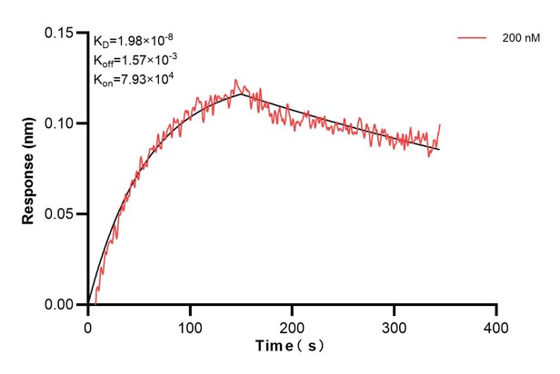 Affinity and Kinetic Characterization of 60841-1-PBS