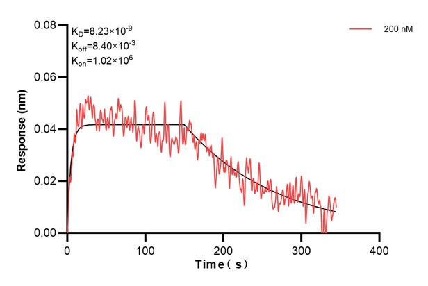 Affinity and Kinetic Characterization of 60841-2-PBS