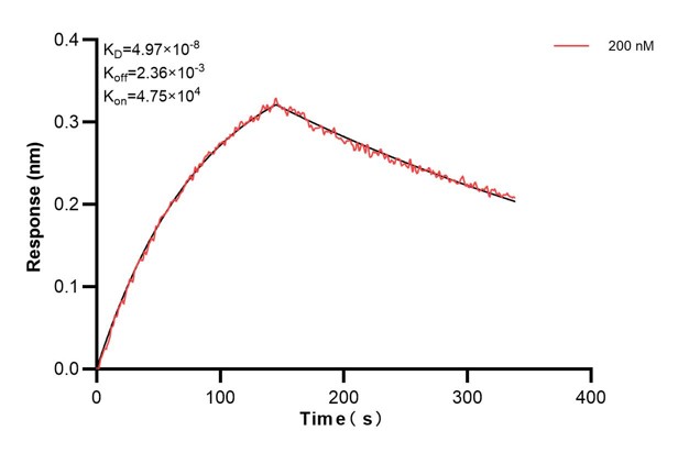 Affinity and Kinetic Characterization of 60844-2-PBS