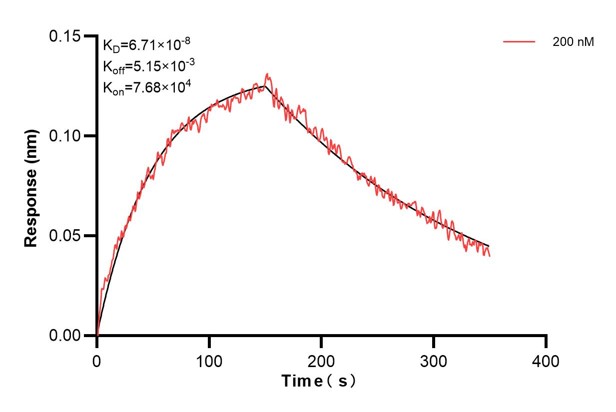 Affinity and Kinetic Characterization of 60862-2-PBS