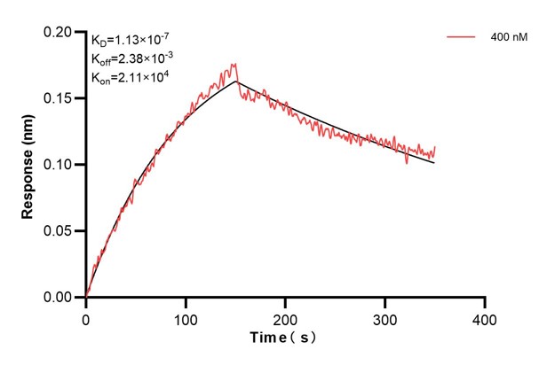 Affinity and Kinetic Characterization of 60862-3-PBS