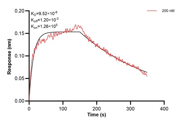 Affinity and Kinetic Characterization of 60864-2-PBS Affinity and Kinetic Characterization of 60864-2-PBS