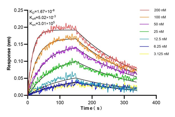 Affinity and Kinetic Characterization of 60868-1-PBS