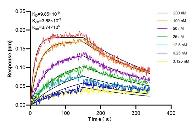 Affinity and Kinetic Characterization of 60868-3-PBS