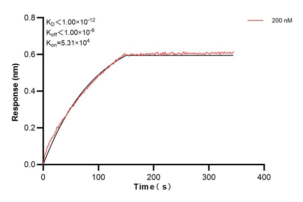 Affinity and Kinetic Characterization of 60874-2-PBS Affinity and Kinetic Characterization of 60874-2-PBS