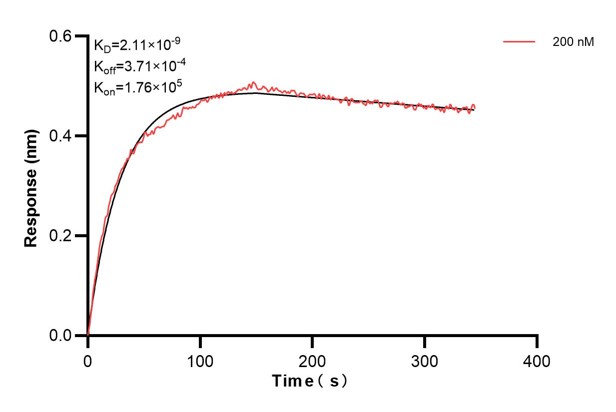 Affinity and Kinetic Characterization of 60874-4-PBS