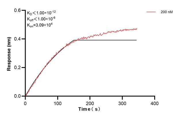 Affinity and Kinetic Characterization of 60885-1-PBS