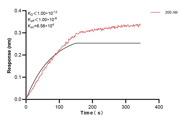 Affinity and Kinetic Characterization of 60885-4-PBS