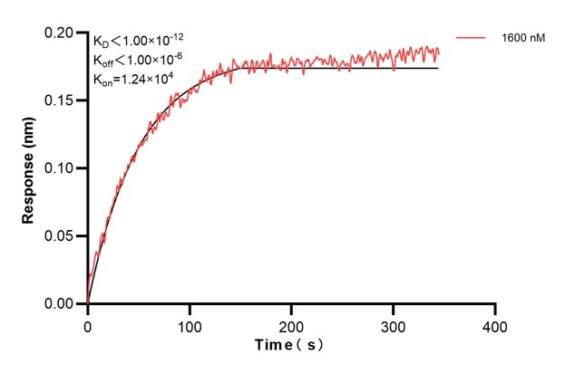 Affinity and Kinetic Characterization of 60885-5-PBS