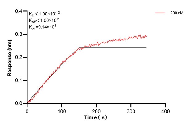 Affinity and Kinetic Characterization of 60885-6-PBS