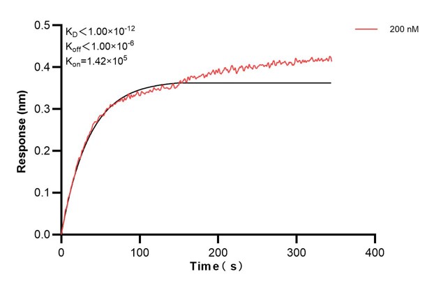 Affinity and Kinetic Characterization of 60888-1-PBS