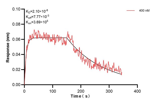 Affinity and Kinetic Characterization of 60888-2-PBS