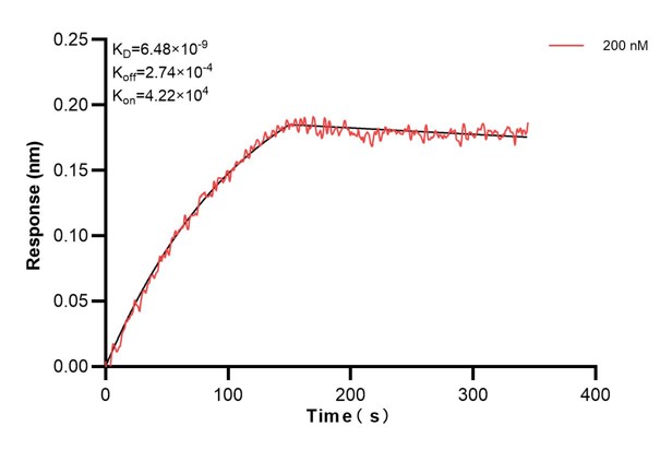 Affinity and Kinetic Characterization of 60888-3-PBS Affinity and Kinetic Characterization of 60888-3-PBS