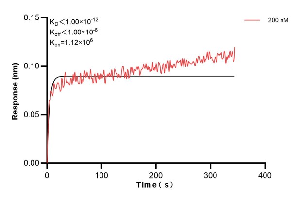 Affinity and Kinetic Characterization of 60906-3-PBS Affinity and Kinetic Characterization of 60906-3-PBS