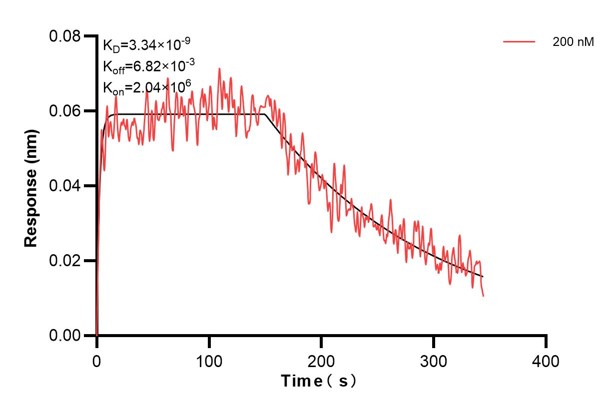 Affinity and Kinetic Characterization of 60908-2-PBS