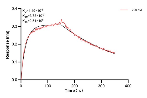 Affinity and Kinetic Characterization of 60911-1-PBS