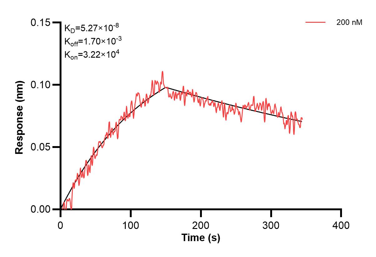 Affinity and Kinetic Characterization of 60931-2-PBS Affinity and Kinetic Characterization of 60931-2-PBS
