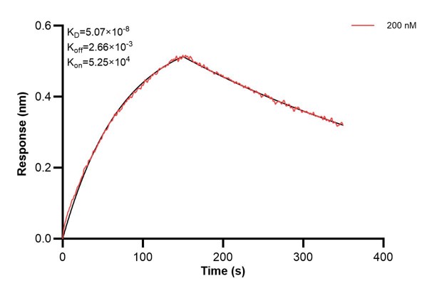Affinity and Kinetic Characterization of 60937-1-PBS