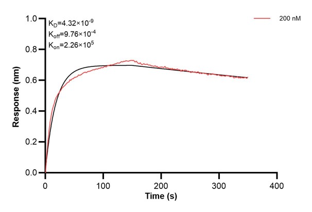 Affinity and Kinetic Characterization of 60954-2-PBS Affinity and Kinetic Characterization of 60954-2-PBS