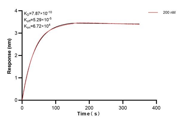 Affinity and Kinetic Characterization of 60966-1-PBS Affinity and Kinetic Characterization of 60966-1-PBS