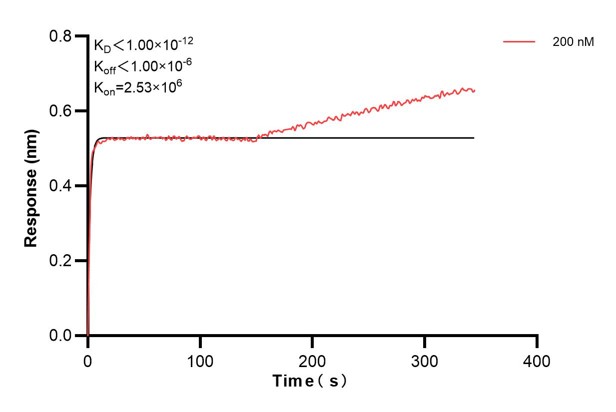 Affinity and Kinetic Characterization of 60974-1-PBS