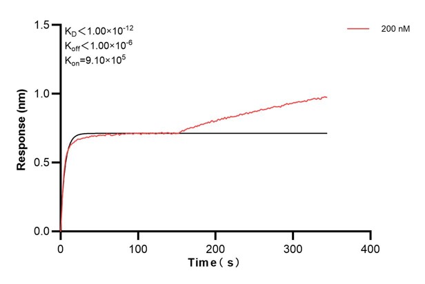 Affinity and Kinetic Characterization of 60974-2-PBS