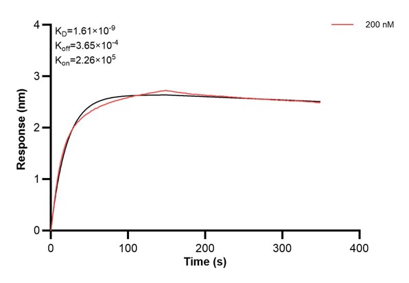 Affinity and Kinetic Characterization of 60975-1-PBS