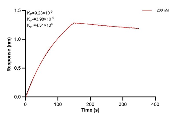 Affinity and Kinetic Characterization of 60975-2-PBS