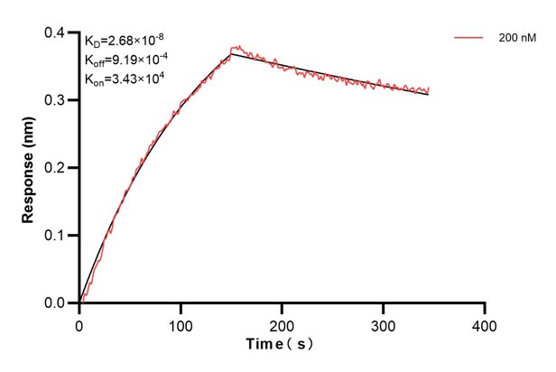 Affinity and Kinetic Characterization of 60981-2-PBS