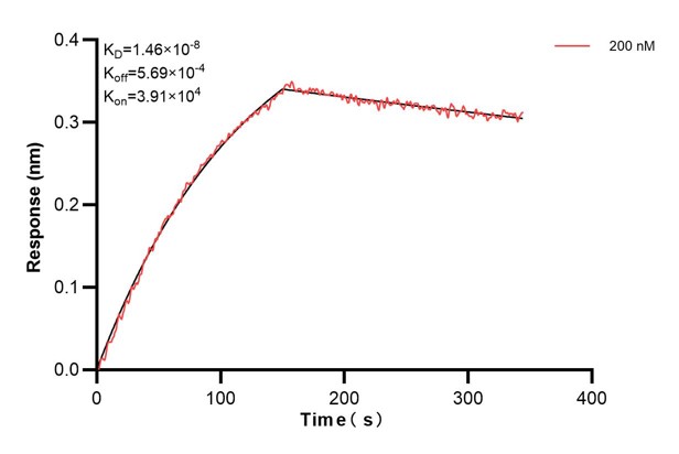 Affinity and Kinetic Characterization of 60987-1-PBS