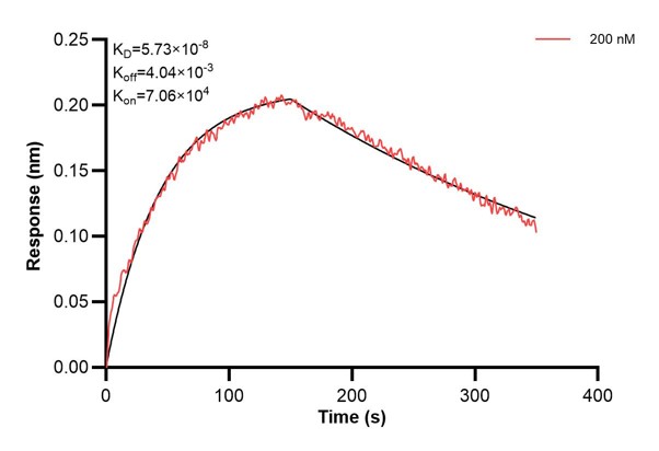 Affinity and Kinetic Characterization of 60993-1-PBS