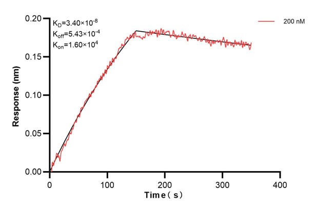 Affinity and Kinetic Characterization of 61004-1-PBS