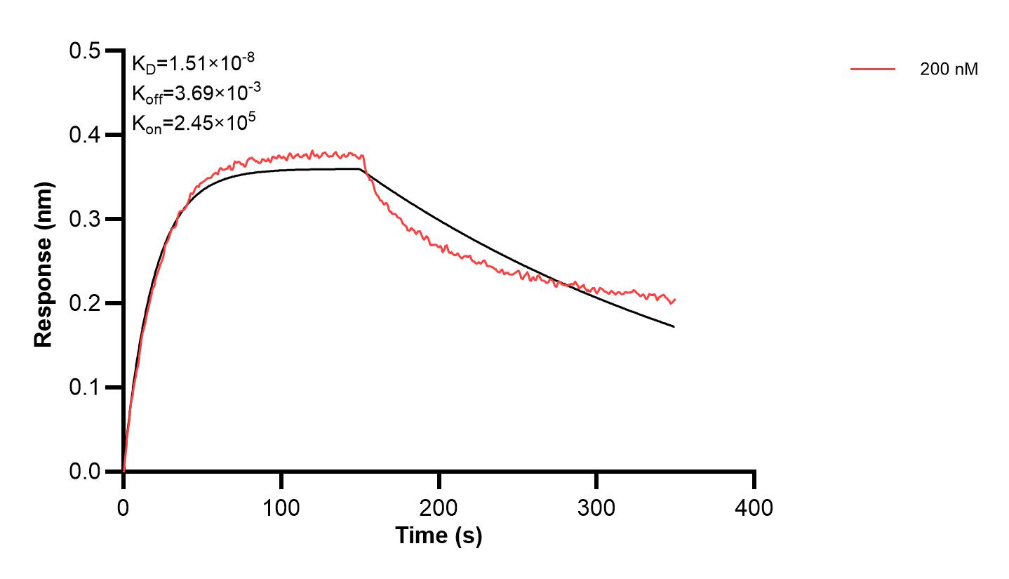 Affinity and Kinetic Characterization of 61010-1-PBS