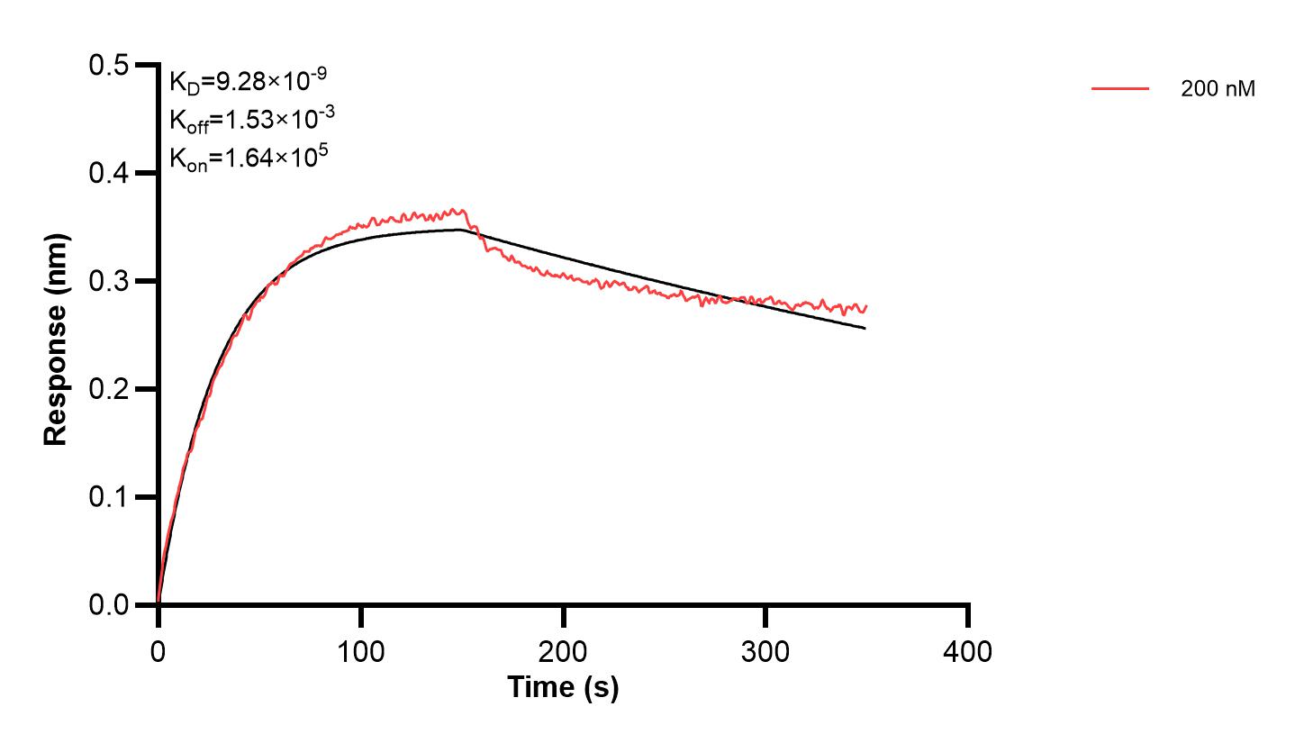 Affinity and Kinetic Characterization of 61010-2-PBS Affinity and Kinetic Characterization of 61010-2-PBS