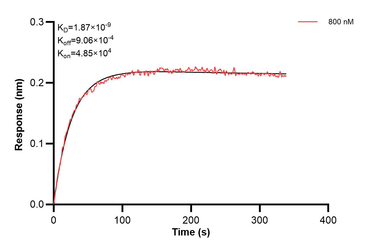 Affinity and Kinetic Characterization of 61074-1-PBS