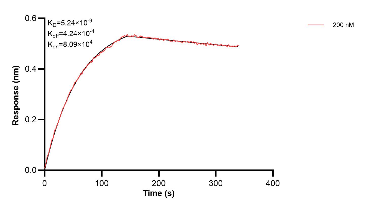 Affinity and Kinetic Characterization of 61089-1-PBS Affinity and Kinetic Characterization of 61089-1-PBS