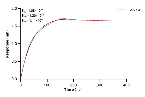 Affinity and Kinetic Characterization of 66013-4-PBS