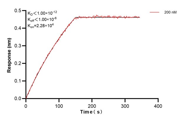 Affinity and Kinetic Characterization of 66026-3-PBS