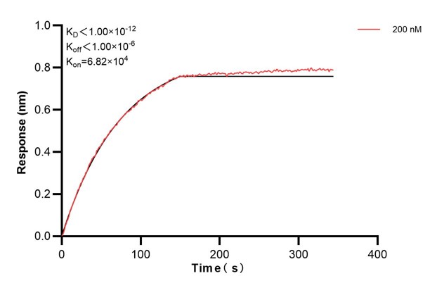 Affinity and Kinetic Characterization of 66026-4-PBS