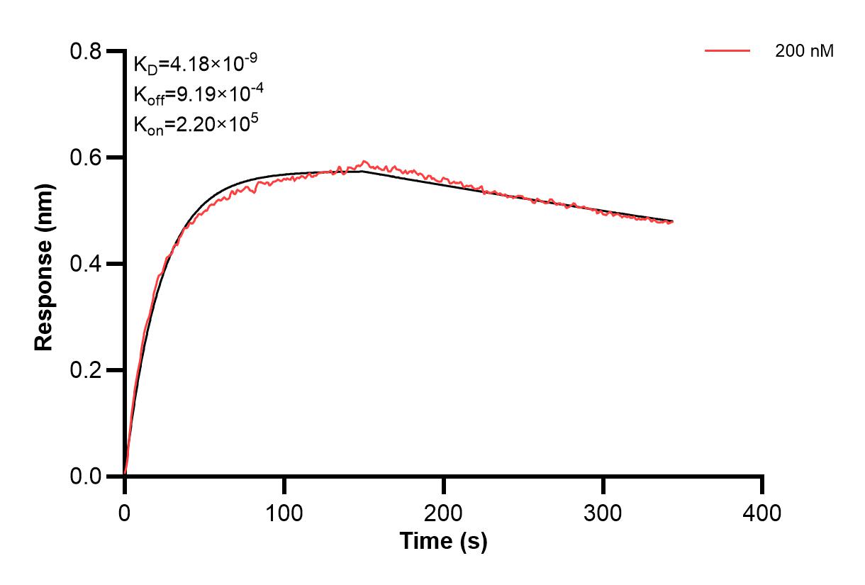 Affinity and Kinetic Characterization of 66041-1-PBS