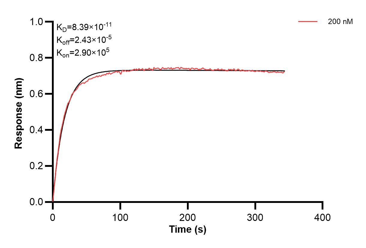 Affinity and Kinetic Characterization of 66041-2-PBS Affinity and Kinetic Characterization of 66041-2-PBS