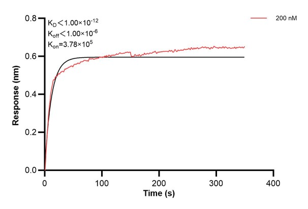 Affinity and Kinetic Characterization of 66050-3-PBS Affinity and Kinetic Characterization of 66050-3-PBS