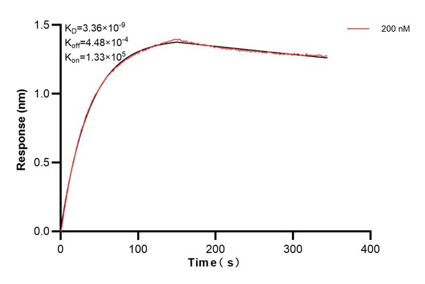 Affinity and Kinetic Characterization of 66135-2-PBS