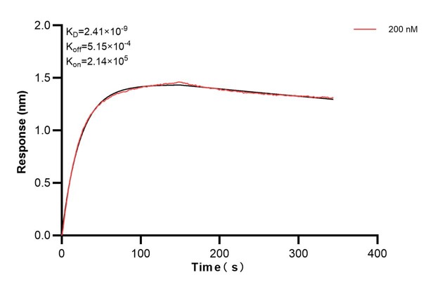 Affinity and Kinetic Characterization of 66135-4-PBS