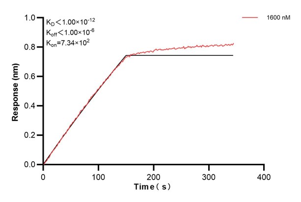 Affinity and Kinetic Characterization of 66145-1-Ig