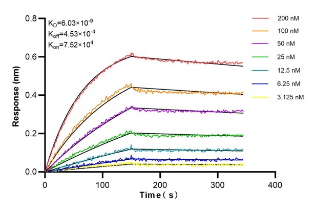 Affinity and Kinetic Characterization of 66197-2-PBS