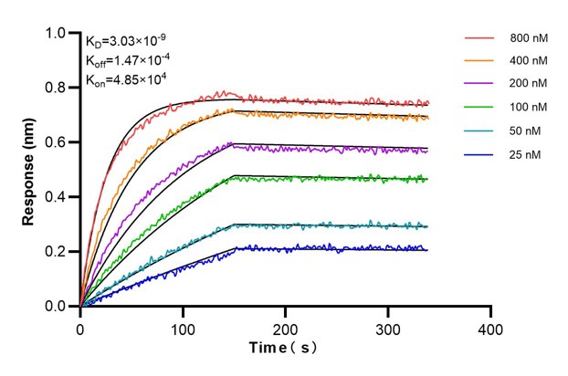 Affinity and Kinetic Characterization of 66219-3-PBS