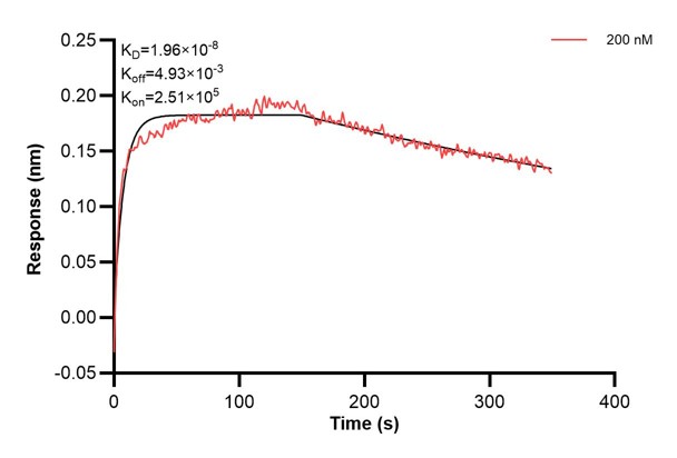 Affinity and Kinetic Characterization of 66276-2-PBS Affinity and Kinetic Characterization of 66276-2-PBS