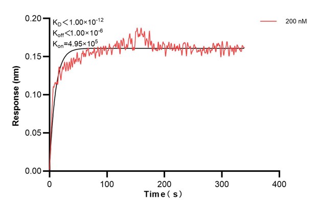 Affinity and Kinetic Characterization of 66313-2-PBS