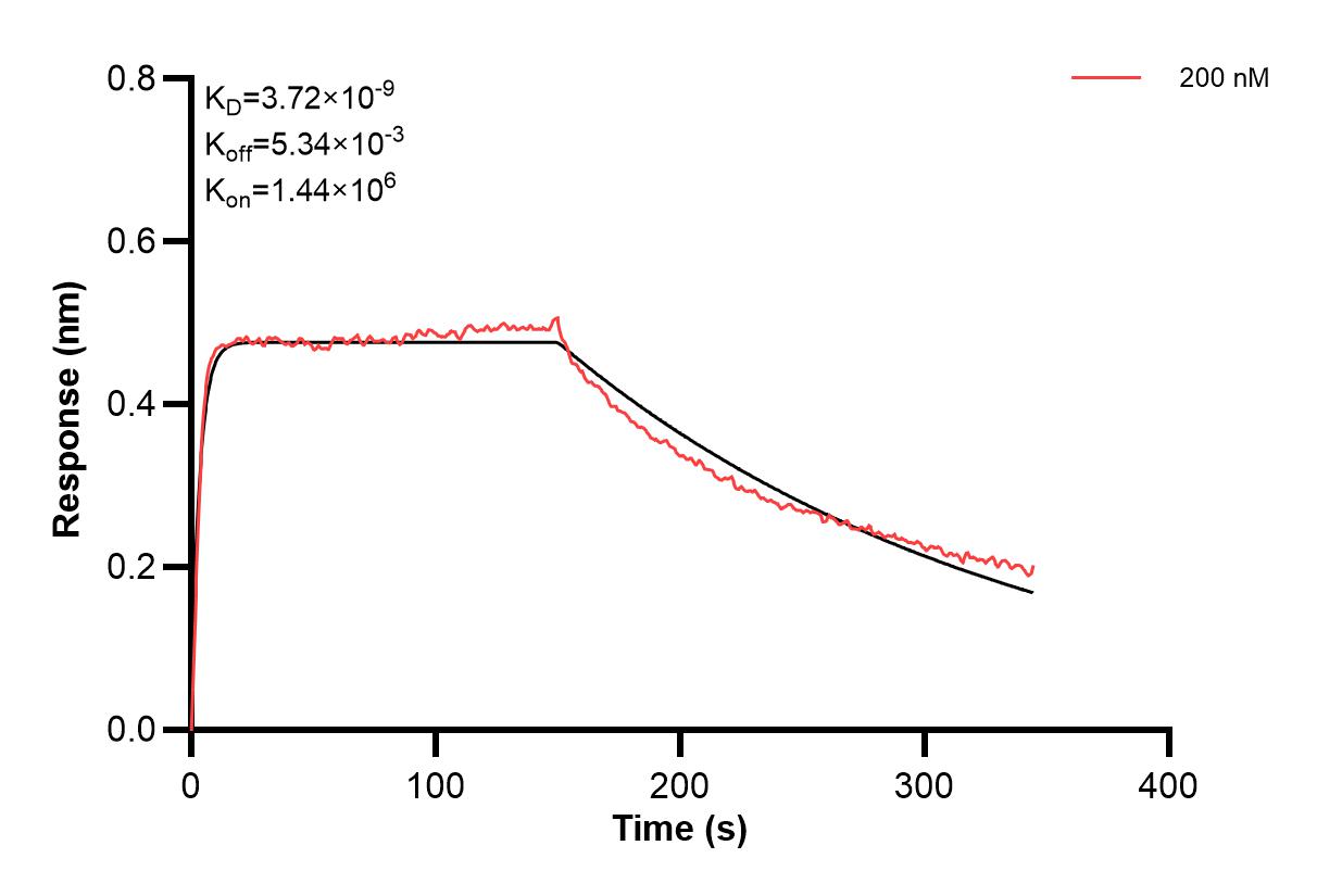 Affinity and Kinetic Characterization of 66378-2-PBS Affinity and Kinetic Characterization of 66378-2-PBS